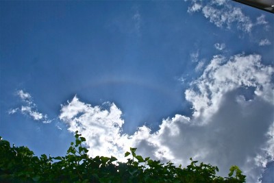 IMG_2255.JPG