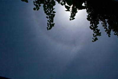 IMG_2263.JPG