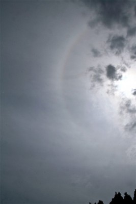 IMG_2662.jpg