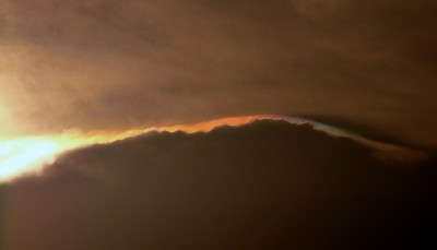 Irisierender Pileus
