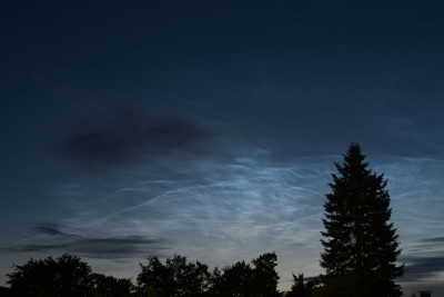D85_0631.jpg