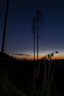 NLC-Feld 1 in NW - 23:54 MESZ - Helligkeit 2 - Sonnenstand bei -11,6° (24mm, Kleinbild)