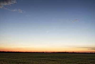 Weißenfeld bei München, 22.06.2020, 04:23 Uhr MESZ, 35 mm