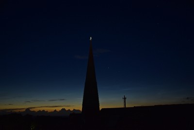 2-NLC-29.6.20.JPG