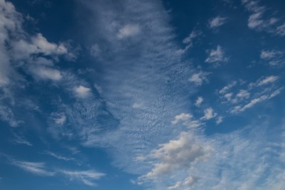 NLC_07.07.2020_09.jpg