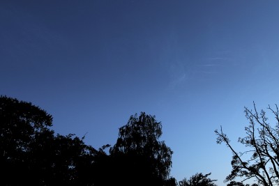 20:55 UTC, feine NLC-Strukturen im Westen bis Süd-Westen (0ben Bildmitte Arktur)