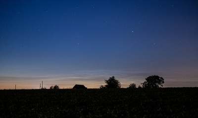IMG_3379.1.jpg