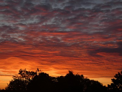 51 Morgenrot 20200727Zoom.jpg