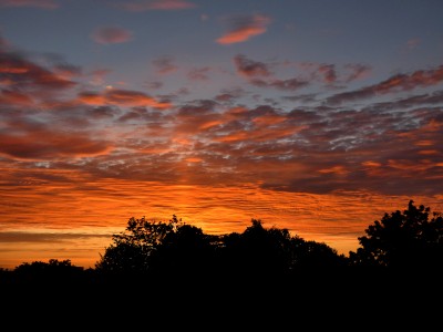 52 Morgenrot LS 20200727.jpg