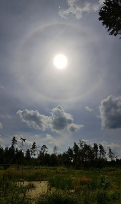 20200720_131159.jpg (283.52 KiB) 1925 mal betrachtet 13:11 Uhr MESZ