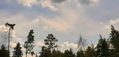 20200720_131315.jpg (277.97 KiB) 2099 mal betrachtet 13:13 Uhr MESZ