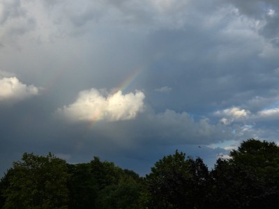 72 Regenbogen 20200818.jpg