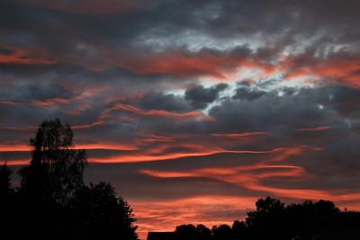 Morgenrot von Wolfgang