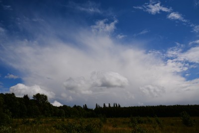 DSC_5116.JPG
