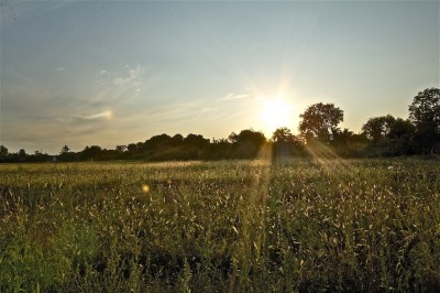 IMG_6689.jpg
