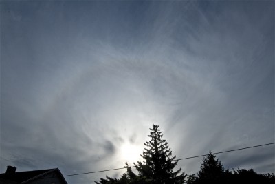 IMG_6831.jpg (202.46 KiB) 473 mal betrachtet IMG_6831.jpg