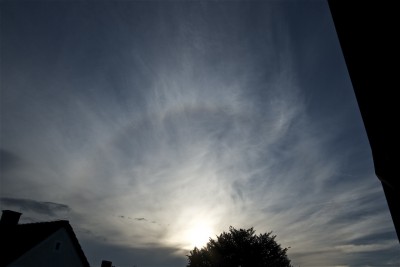 IMG_6828.jpg (147.54 KiB) 474 mal betrachtet IMG_6828.jpg