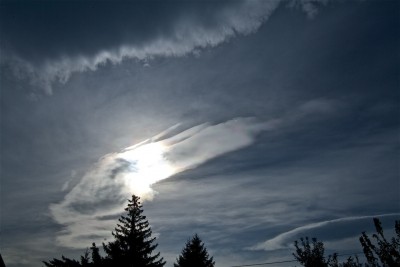 IMG_6914.jpg