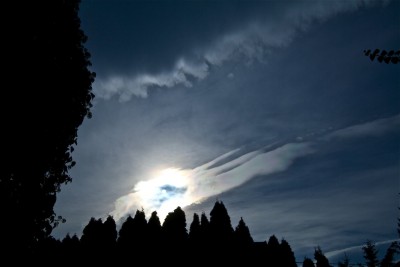 IMG_6911.jpg