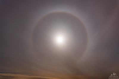 DSC_5306.jpg