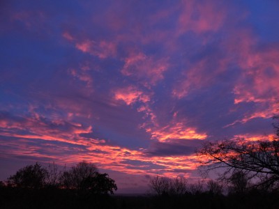 99 Morgenrot 20201112a.jpg