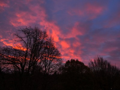 100 Morgenrot 20201112b.jpg