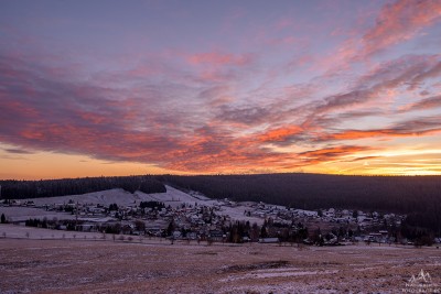 DSC_7926.jpg