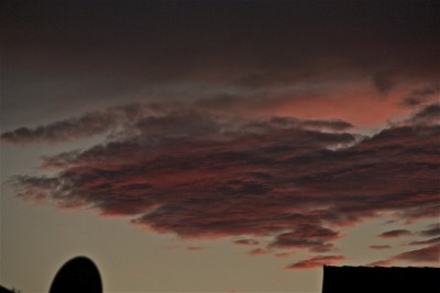 IMG_7828.jpg (243.49 KiB) 3100 mal betrachtet IMG_7828.jpg