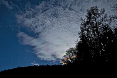 IMG_7794.jpg (281.24 KiB) 3098 mal betrachtet IMG_7794.jpg