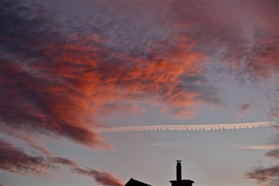 IMG_7816.jpg (193.2 KiB) 3091 mal betrachtet IMG_7816.jpg