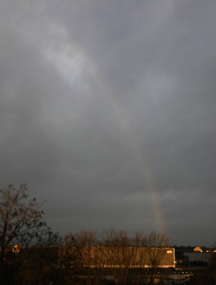 117 Regenbogen 20201214.jpg