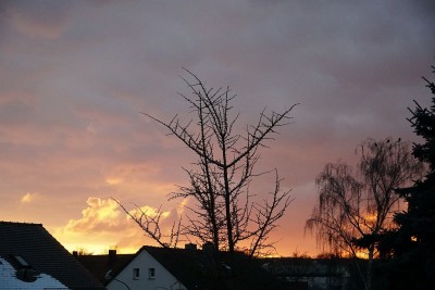 Abendrot100121.jpg