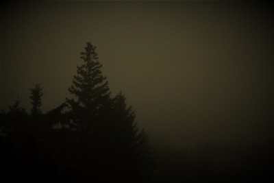 Nebel-2-forum.jpg