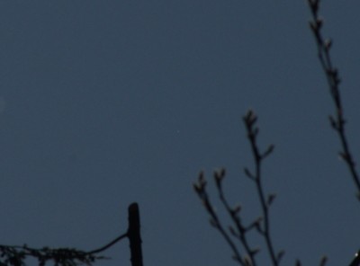 11:46 MEZ Venus mit 200mm, stark unterbelichtet (in Bildmitte)