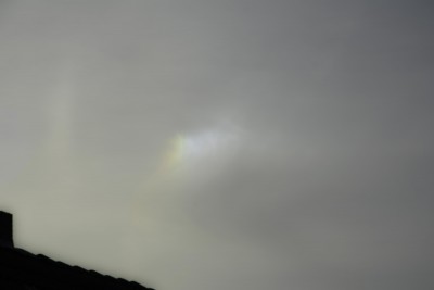 DSC_2694_100.jpg