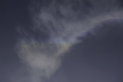 DSC_2698_100.jpg