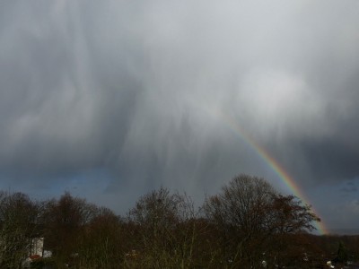 32 Regenbogen Cbcalvir 20210311.jpg