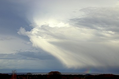 IMG_7443.JPG