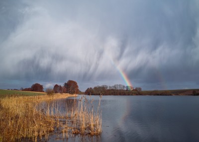 2021_03_14_DP1s_Friedrichswalde_KrummerSee_Regenbogen_0019_VarBa1_JPGooDT_1307x933pix.jpg