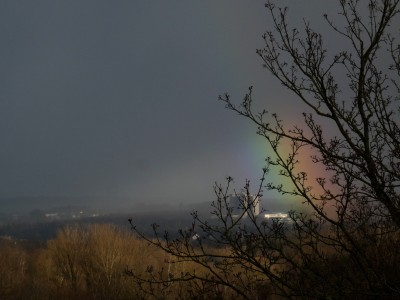 36 Regenbogenfuß 20210315.jpg