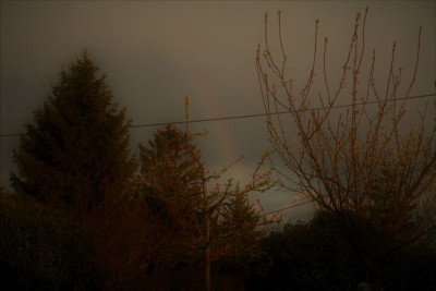 Regenbogen.-Forum.jpg