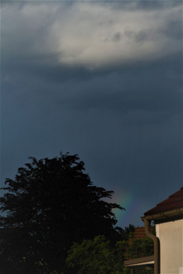 regenbogen-2-Forum.jpg