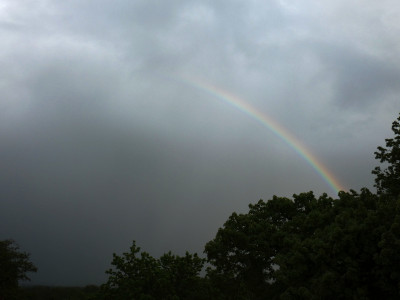 44 Regenbogen 20210516.jpg