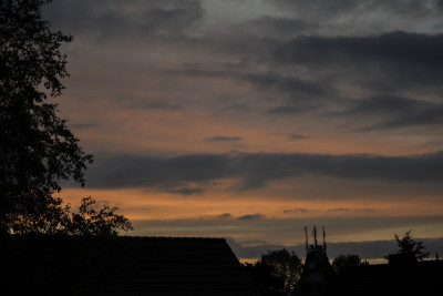 DSC_3008_100.jpg