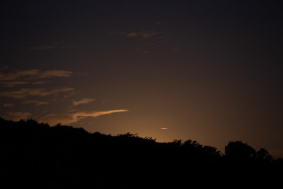 22.05.2021, 03:32 MESZ: Der Mond geht hinter dem Wald unter und verleiht dem Westhorizont eine warme Lichtstimmung