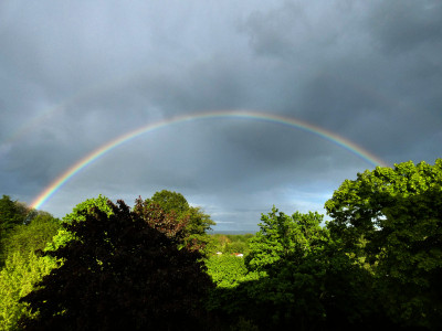 51 Regenbogen 20210524.jpg