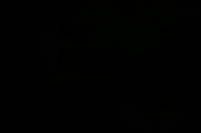 20210607-072204_Z62_0877_004.JPG