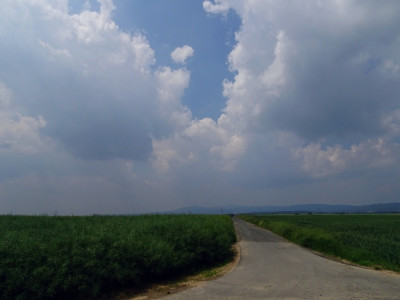 Abb. 4: Blick auf den Taunus-Hauptkamm um das Feldberg-Massiv, aufgenommen am 10.06.2021 um 13:01 MESZ ca. 2 km westlich von Karben-Kloppenheim.