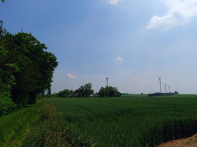 Abb. 5: Blick in die südliche Wetterau, aufgenommen am 10.06.2021 um 13:02 MESZ ca. 2 km westlich von Karben-Kloppenheim.