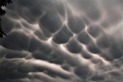 sickspack-mamatus-Forum.jpg